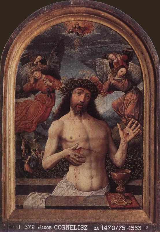 CORNELISZ VAN OOSTSANEN, Jacob Man of Sorrows dfg Spain oil painting art